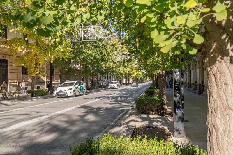 Foto 02fbf62f-11c9-4387-a6ab-7eba9b96e024. Appartement avec chauffage parking dans Centro - Sagrario Granada