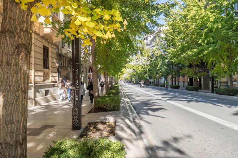 Foto 46b45e5d-f546-40ef-9445-7d919425a25f. Appartement avec chauffage parking dans Centro - Sagrario Granada