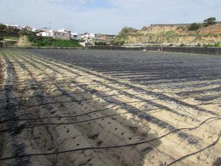 Fondo rustico in Trayamar. En venta 4,400 m de tierra agrícola rica con almacén.