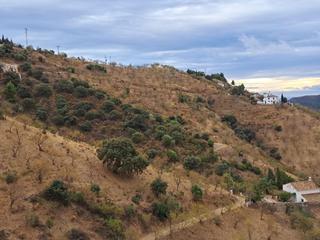 Finca rústica  Camino la atalaya. Cien mil m2 con licencia concedida para construir chalet