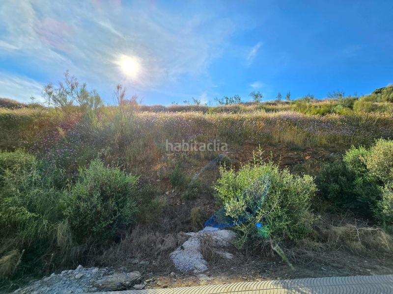 Foto 8059ec82-44f1-45c8-afc0-964a66ea5837. Wohngrundstück in El Peñoncillo Torrox