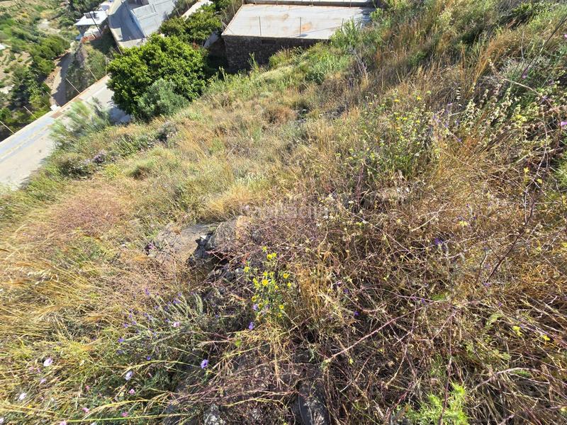 Foto 9fb299e2-d961-4827-8139-9b7ea33e3d53. Wohngrundstück in El Peñoncillo Torrox