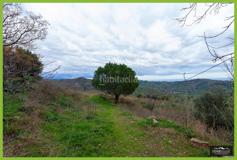 Foto 02a0a5c7-4abf-461e-ab4d-eec630f9f8f4. Casa amb aparcament a Olías Málaga