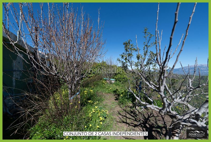 Foto 426b87ae-c43c-422e-95b7-f3418cb2a15b. Xalet a piedras blancas 23 a Moclinejo