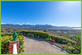 Finca rústica en Avda Pescia - Ctra de Frigiliana. Exclusivo terreno rural con casa y plantación de aguacates en ne