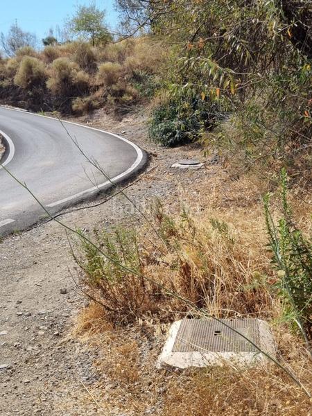 Foto 175e5482-979f-4022-9f7f-51bb52362b0f. Terreny residencial a Viñuela