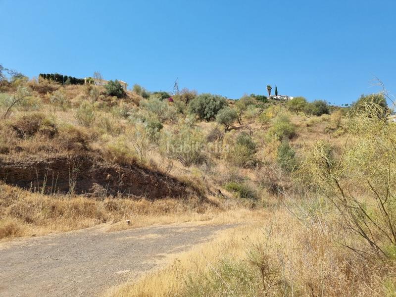 Foto 375ca22f-15da-4f04-88b5-07bfe026c17b. Terreny residencial a Viñuela