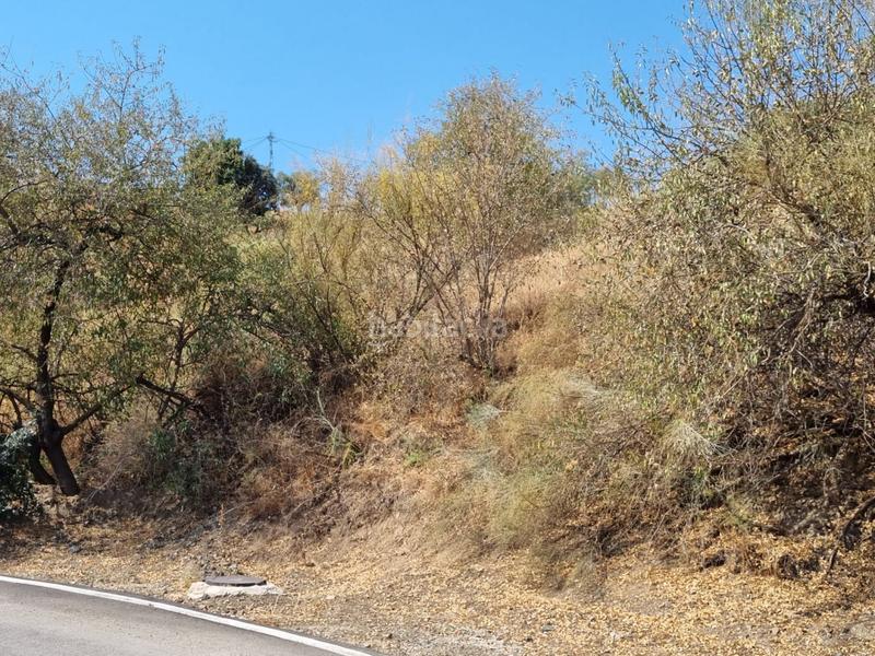 Foto 7af6f64d-7f88-49dd-a1b5-8015bb17a818. Terreny residencial a Viñuela