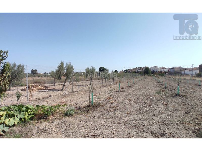 Foto d0d74b81-d4c1-49b6-ae25-1d42f921e0ad. Country house with parking in Albatana