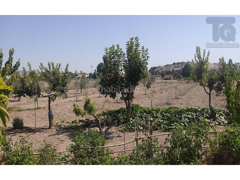 Foto f0488c88-0aa3-4028-bfd2-52f0c66b4dcb. Country house with parking in Albatana