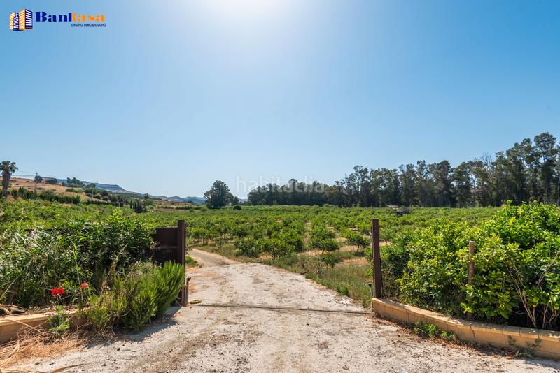 Foto c86788eb-4b52-4cfc-964e-a98e83621690. Finca rústica ¡oportunidad única! finca rústica ecológica de limones en plena producción en Pizarra