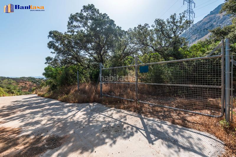 Foto 1ce0706c-98da-44bc-9f24-c07882f3182b. Country house with fireplace parking pool in Bobadilla - Bobadilla Estación - La Joya Antequera