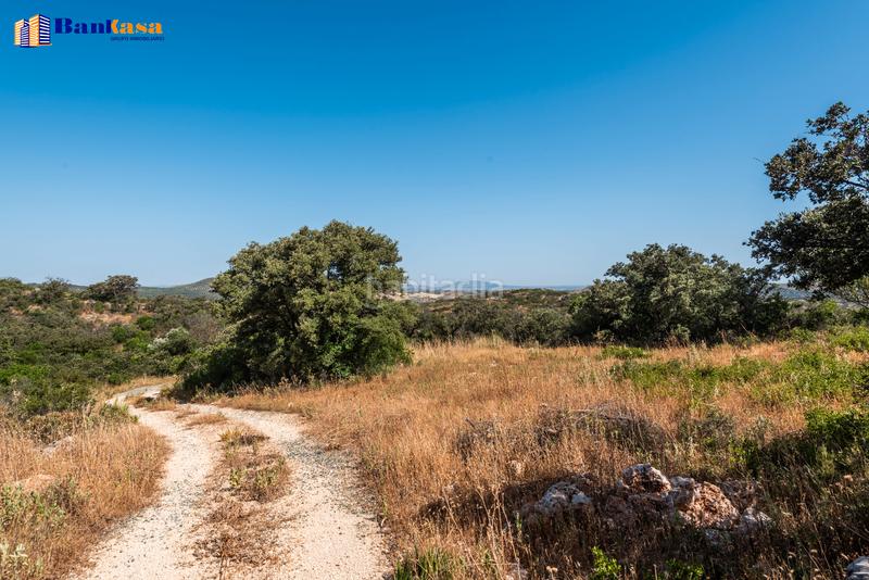 Foto 288ec34c-2cd3-4ed2-8f49-669906e67894. Country house with fireplace parking pool in Bobadilla - Bobadilla Estación - La Joya Antequera