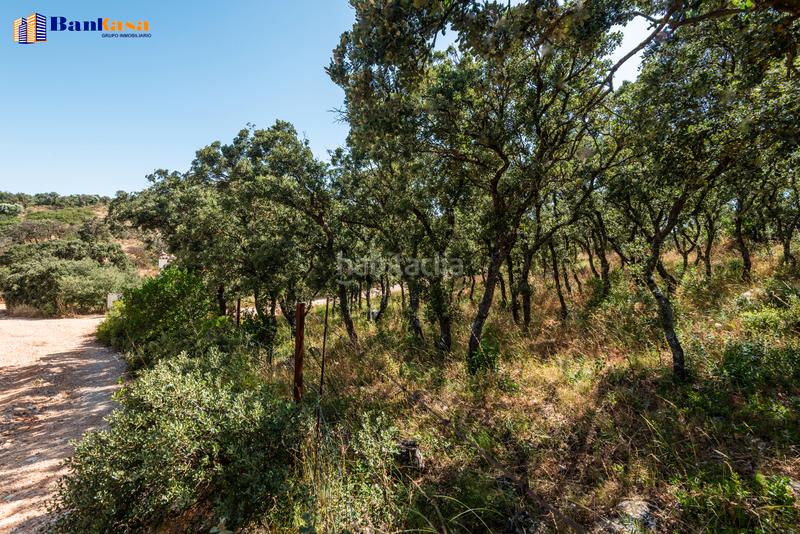 Foto 5696fbe8-8c47-48d3-856d-6b134e8d06f5. Country house with fireplace parking pool in Bobadilla - Bobadilla Estación - La Joya Antequera