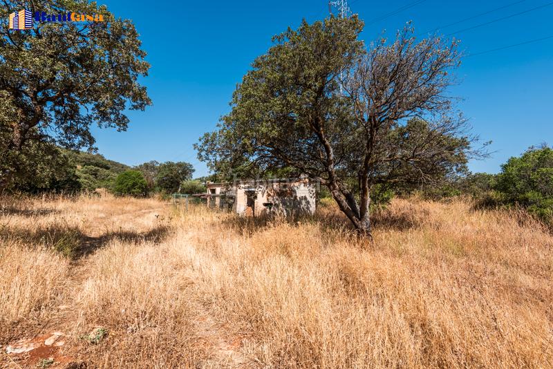 Foto d47534a4-5a6e-43a8-9dd9-602ab1122dde. Country house with fireplace parking pool in Bobadilla - Bobadilla Estación - La Joya Antequera