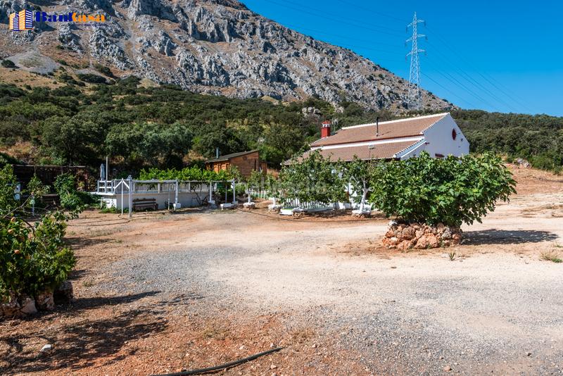 Foto d8c2f34a-a6a4-48fa-a2ca-a29a566ebeec. Country house with fireplace parking pool in Bobadilla - Bobadilla Estación - La Joya Antequera