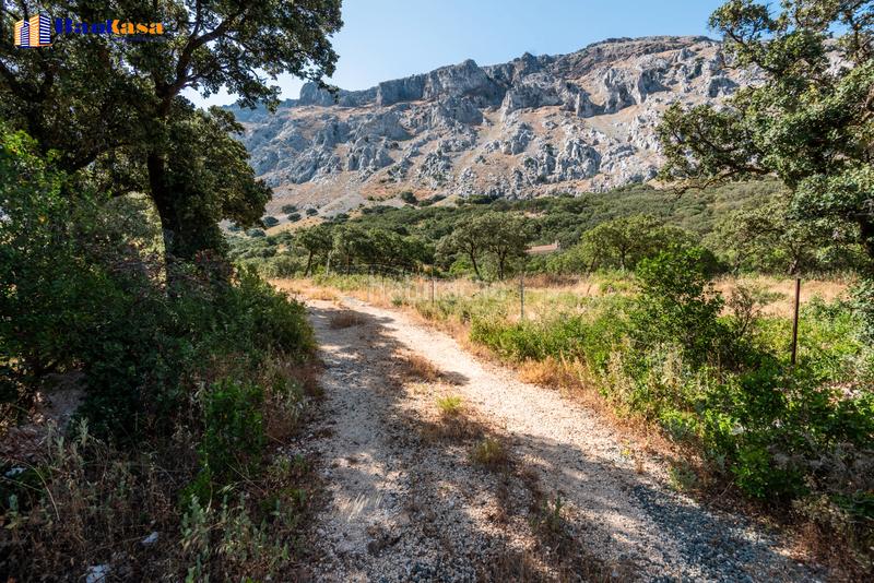 Foto dd2d0aa1-615a-4b93-82a9-c96decd9b295. Country house with fireplace parking pool in Bobadilla - Bobadilla Estación - La Joya Antequera