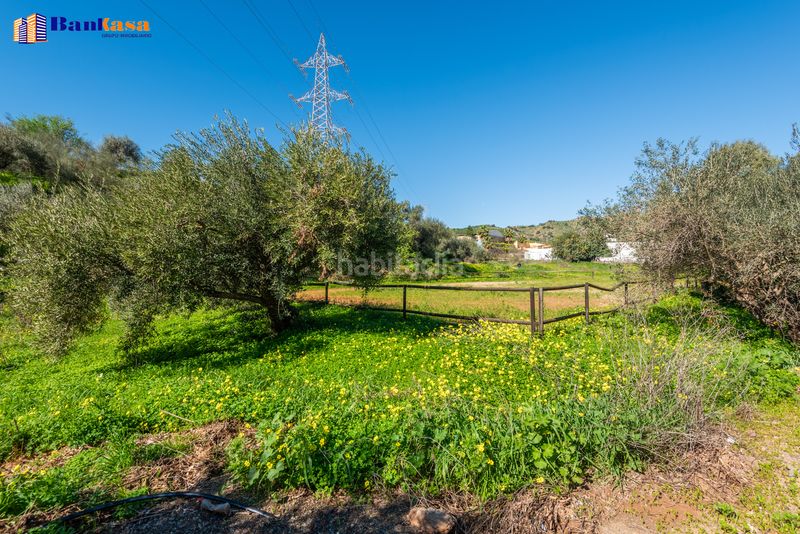 Foto 06dd148f-1ee9-4eb3-aaf6-332521611a4e. Finca rústica a Campanillas Málaga