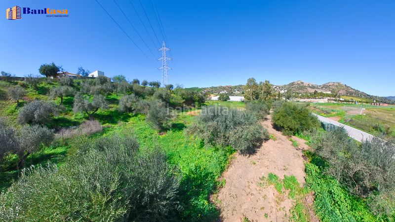 Foto 093307cd-cf79-4982-aaea-1c8975360a94. Finca rústica a Campanillas Málaga