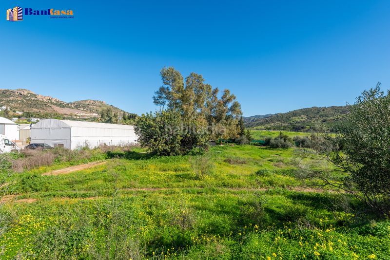 Foto 0e1f5a82-0da0-4800-93f1-486bd3ee01ad. Finca rústica a Campanillas Málaga