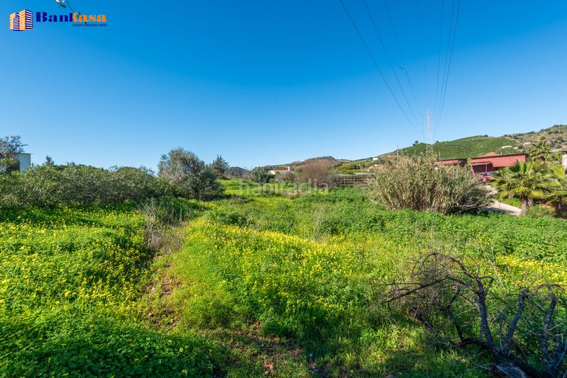 Foto 1b8c0045-f8b7-4281-9d0c-2023a4341e5c. Finca rústica a Campanillas Málaga