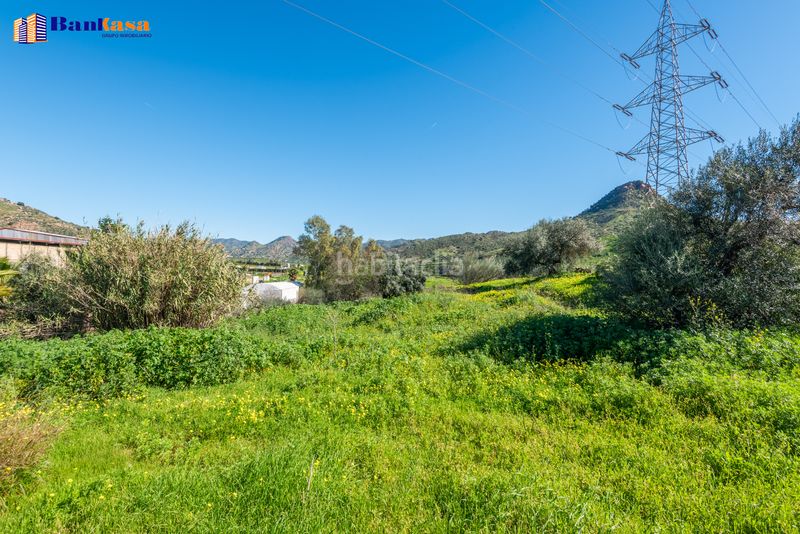 Foto 1d2498cb-acd9-44e4-b78c-c00321eadfc6. Finca rústica a Campanillas Málaga