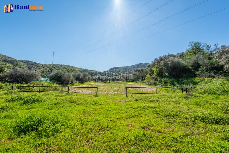 Foto 288a23a3-d61f-4f7c-ae87-ce12432973f6. Finca rústica a Campanillas Málaga