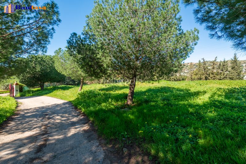 Foto 33d9070a-a177-4f76-97cc-4e70122f40de. Finca rústica a Campanillas Málaga