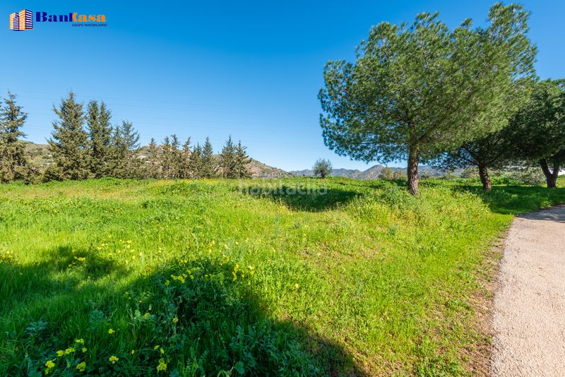 Foto 3e02d1cb-4cab-400c-bf35-efb101da595e. Finca rústica a Campanillas Málaga