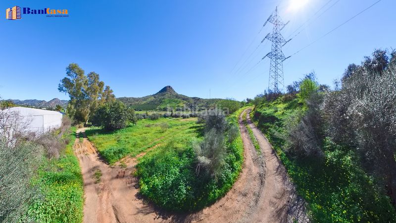 Foto 4cfd7cc2-6ba7-4531-9c26-bff6321ce8de. Finca rústica a Campanillas Málaga