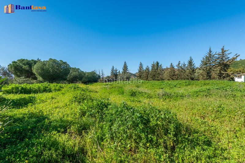 Foto 647dd7ec-663e-471e-8c52-ca38f6fac40e. Finca rústica a Campanillas Málaga