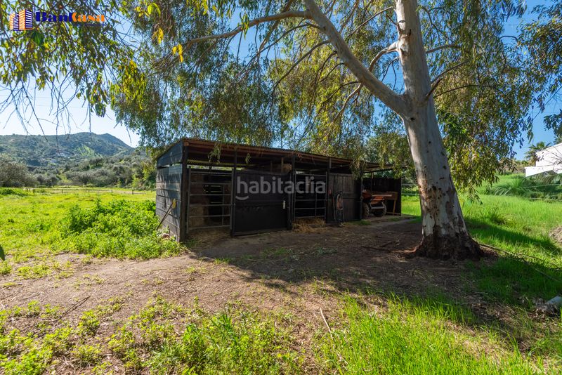 Foto 73ae2aee-b5d3-49e4-a4b5-a08c5f8dcabd. Finca rústica a Campanillas Málaga