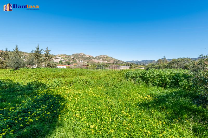 Foto 7bc8acf8-9a71-47bb-a90e-c3bc992bdd72. Finca rústica a Campanillas Málaga