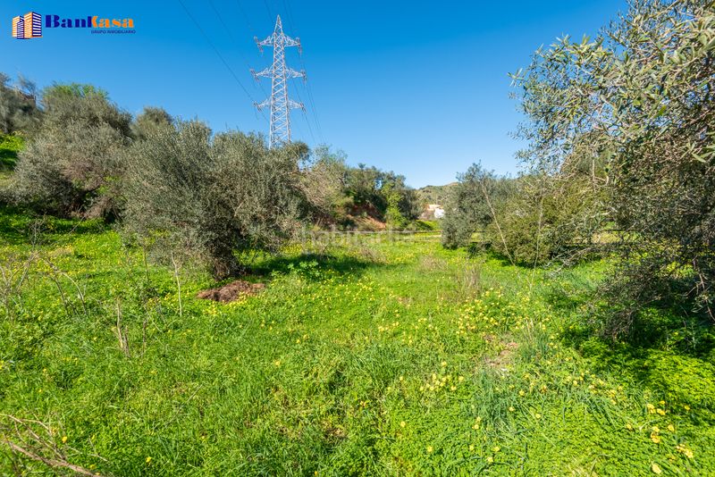 Foto 8373de78-5951-4788-9073-0178d672f50a. Finca rústica a Campanillas Málaga