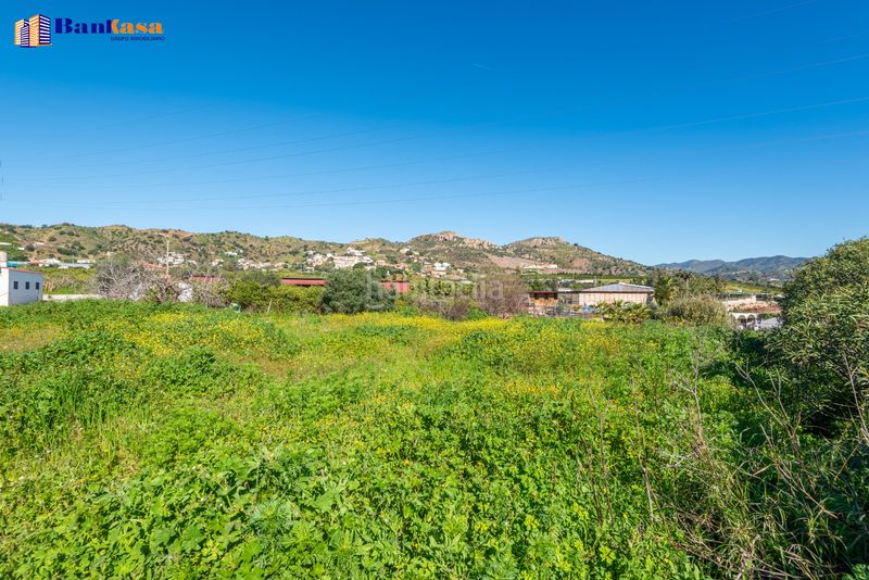 Foto 8a451f0a-4fc0-4654-a36a-85a394718752. Finca rústica a Campanillas Málaga