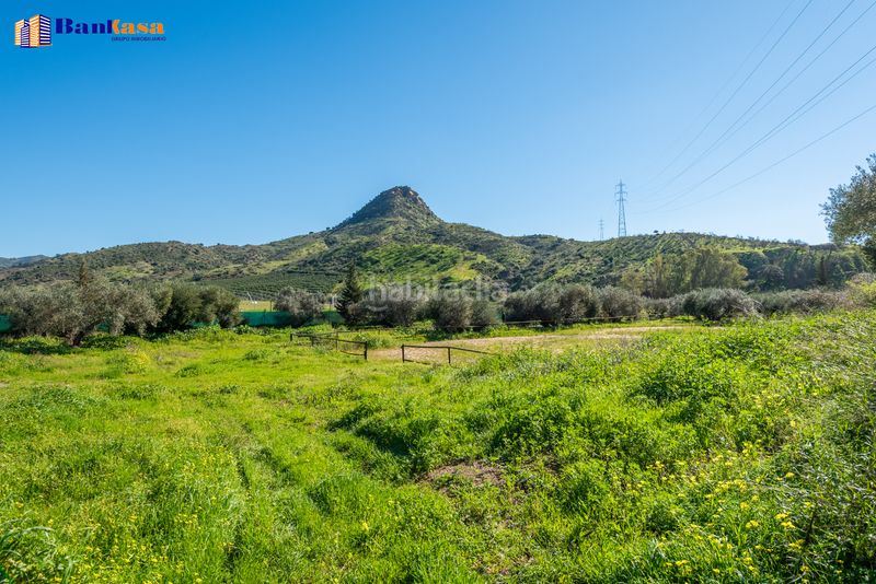 Foto a59735ba-954b-438f-92d0-5d0947c7fd4c. Finca rústica a Campanillas Málaga