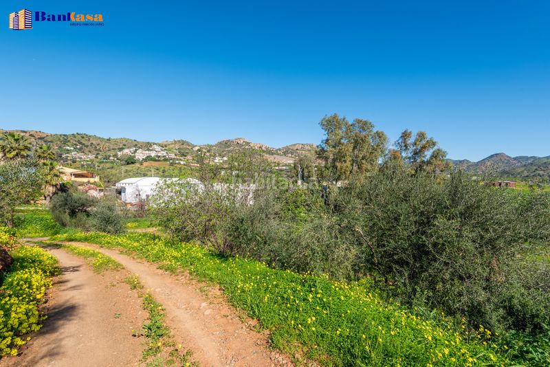 Foto ab6d9ea7-1789-4d0a-88c7-8cbc33082c76. Finca rústica a Campanillas Málaga