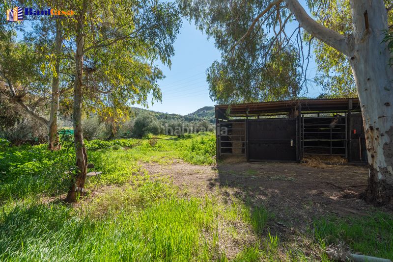 Foto af73d551-9791-4fc0-b96a-c1b018b3d63d. Finca rústica a Campanillas Málaga