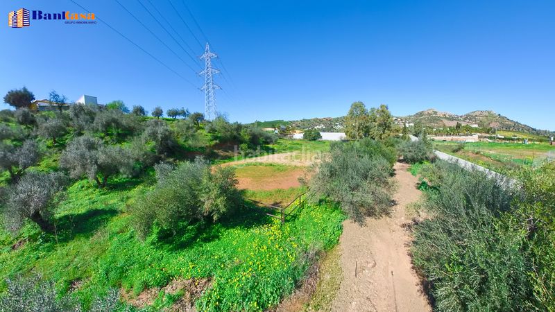 Foto d285961e-111a-4bca-814c-ad8f2a80a56d. Finca rústica a Campanillas Málaga