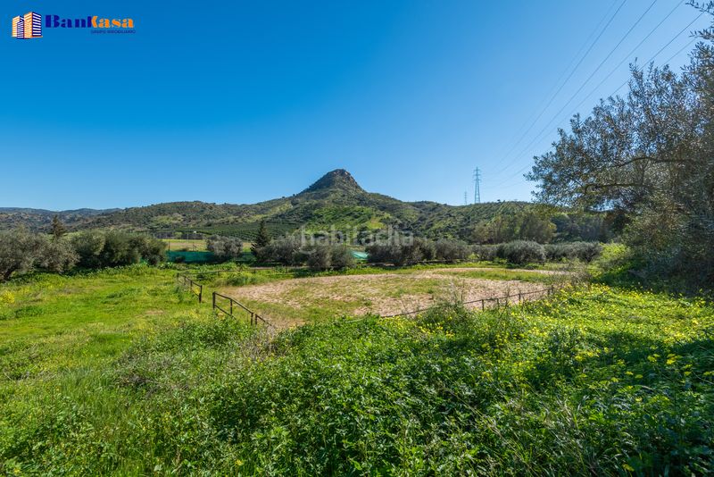 Foto d61c7064-0b5e-4a2a-8af8-866e953224a2. Finca rústica a Campanillas Málaga