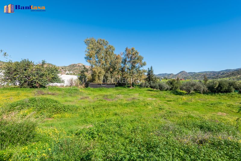 Foto daac57d7-9d6d-4e5e-b13a-c0f443163351. Finca rústica a Campanillas Málaga