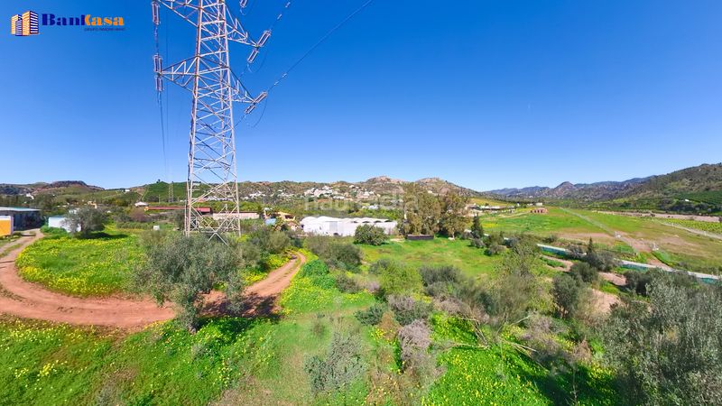 Foto f09a1d29-214c-475b-abcb-92a91139f04b. Finca rústica a Campanillas Málaga