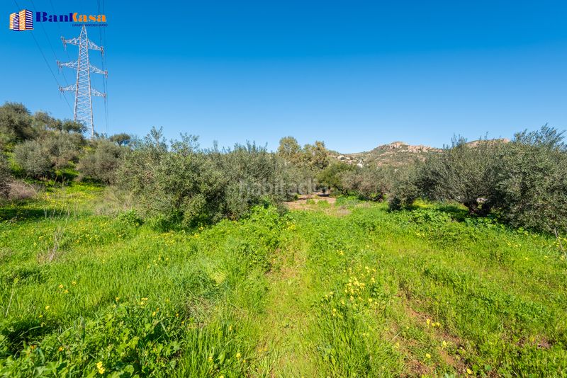 Foto fa19a808-f77d-4f35-a14a-86778341622d. Finca rústica a Campanillas Málaga