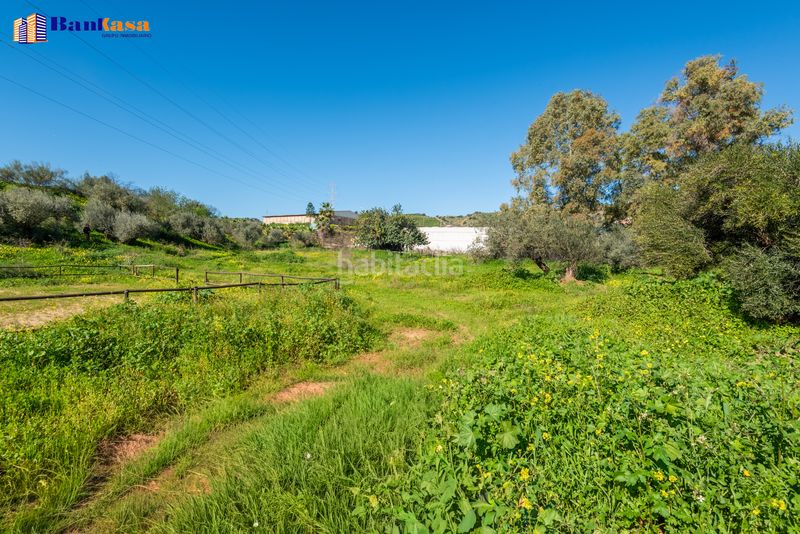 Foto fb939e09-a95d-4c04-b284-9e8648234b73. Finca rústica a Campanillas Málaga