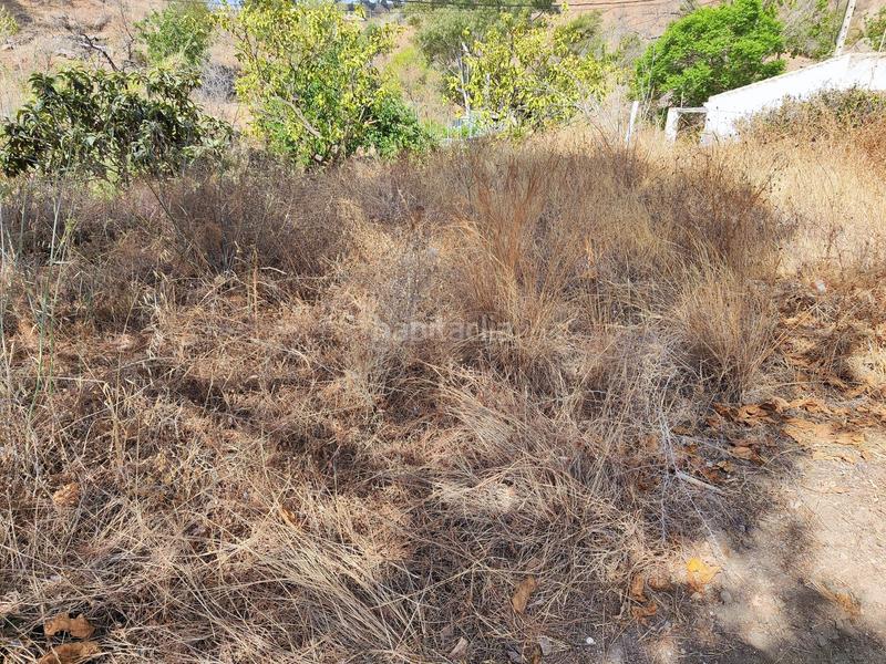 Foto bfcbf8b3-4533-4e49-ba93-7f3ce03e3943. Maison dans Jarazmin Málaga