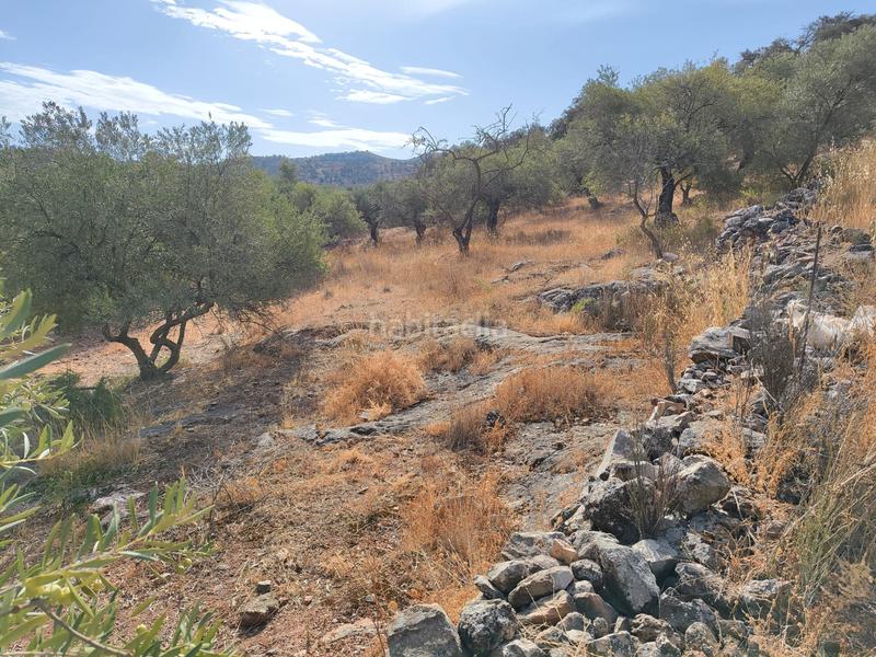 Foto 15718dc2-710e-4dee-b432-979ae45e46c8. Terreno residencial en Casabermeja