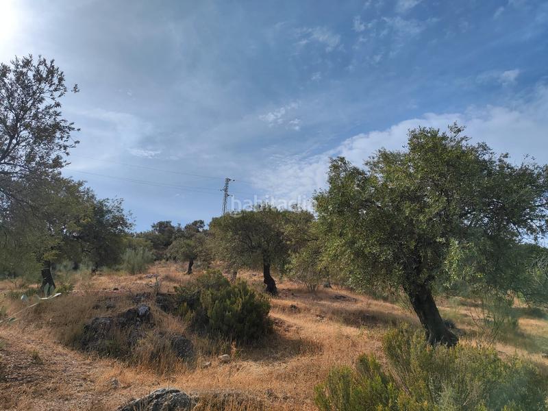 Foto 62e60a75-35f2-4d05-b028-cf7c71fb579b. Terreno residencial en Casabermeja