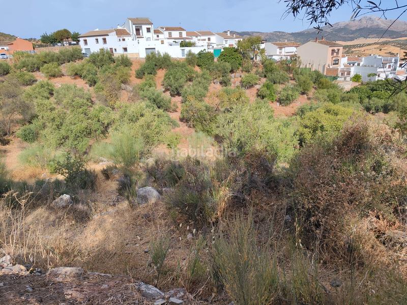 Foto 6311385e-414f-4755-b13f-defe65080671. Terreno residencial en Casabermeja