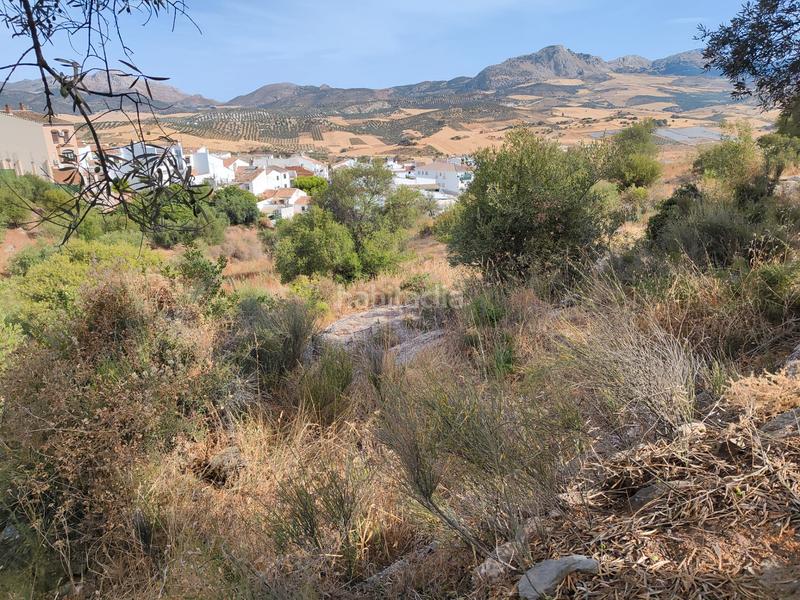 Foto 6d8a9df7-83ac-4a71-96a7-3c140feb03ad. Terreno residencial en Casabermeja