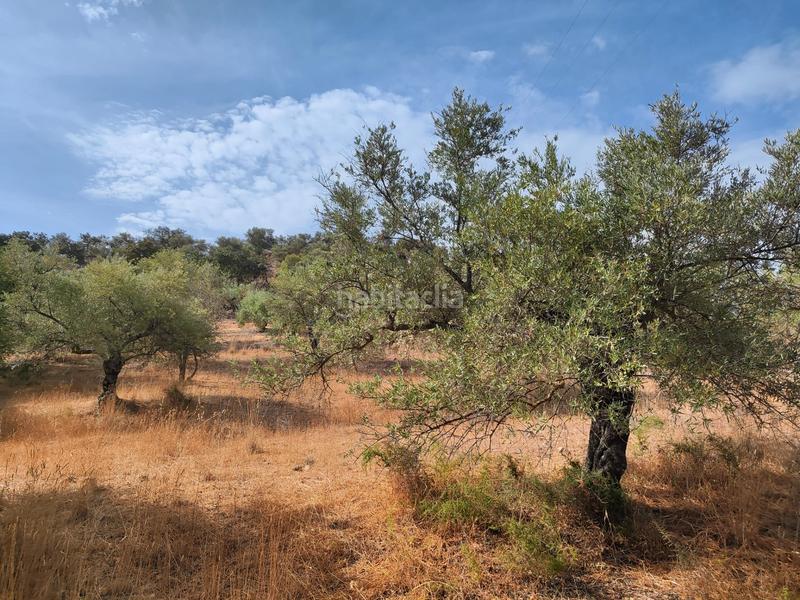 Foto 89b5542f-26e7-4f90-8aca-2eb2d0781bba. Terreno residencial en Casabermeja